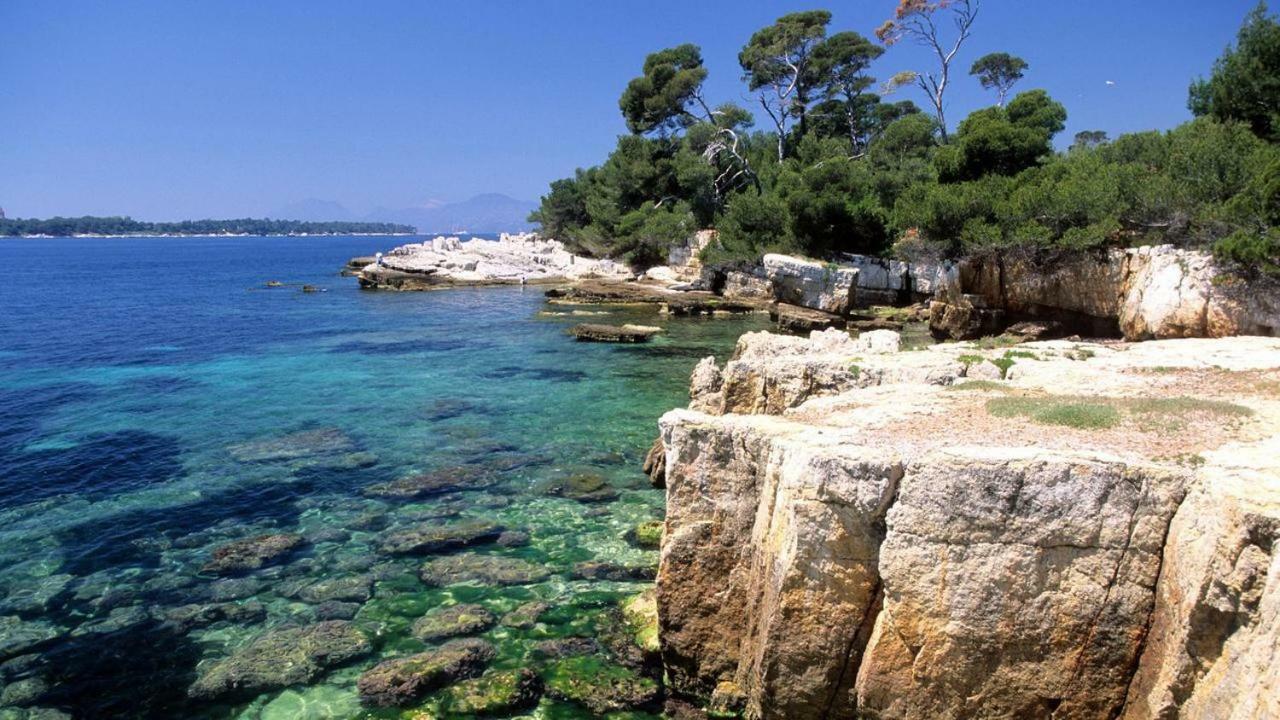Gorgeous 2 Bedrooms Brand New 3 Avenue Paul Arene Apartment Antibes