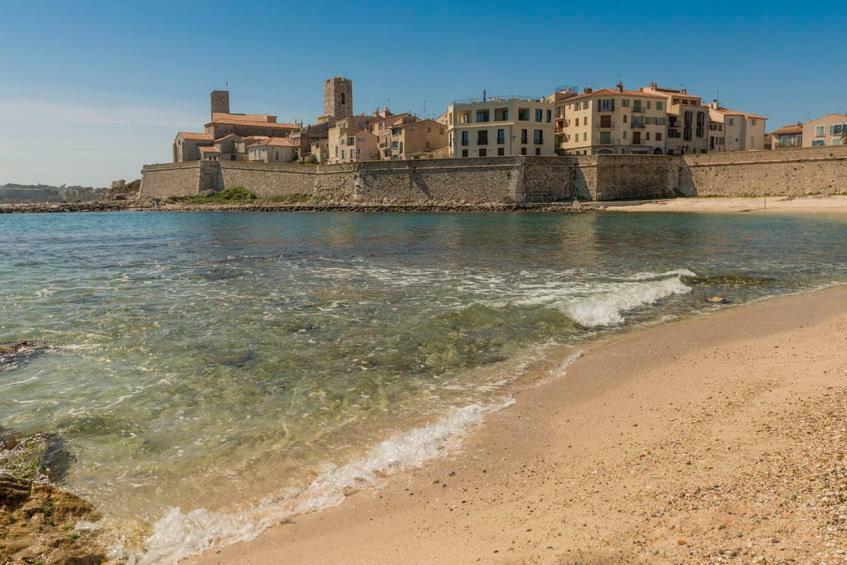 Apartment Gorgeous 2 Bedrooms Brand New 3 Avenue Paul Arene Antibes